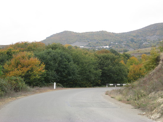 Жёлто-зелёная стена... Жёлто-зелёная стена...