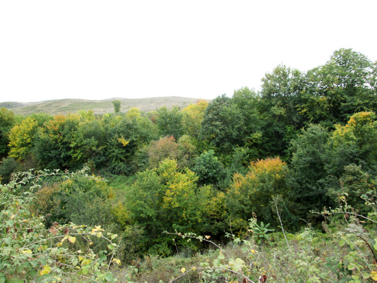 Краски осени. Краски осени.