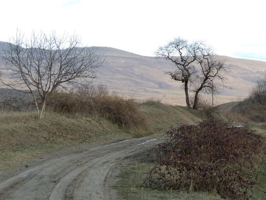 Просёлочная дорогая с развилкой. Просёлочная дорогая с развилкой.