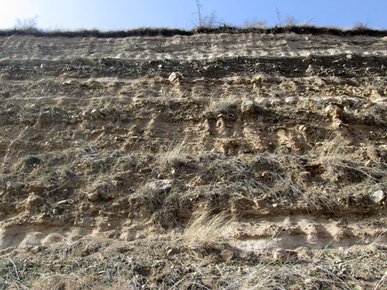 Следы зубов экскаватора. Следы зубов экскаватора.