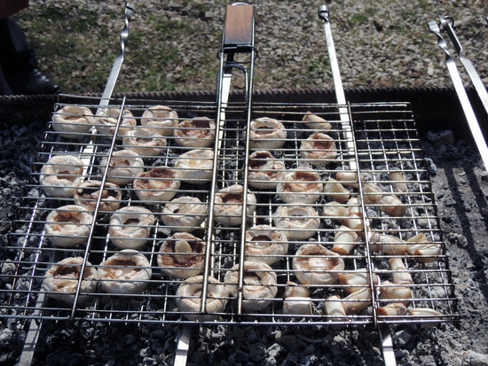 Грибы на углях. Грибы на углях.