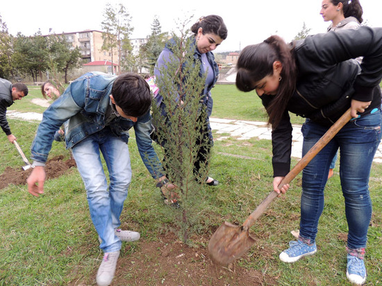 Перед поливкой надо выровнить саженец. Перед поливкой надо выровнить саженец.