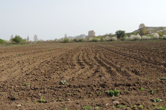 Обработанная земля. Обработанная земля.