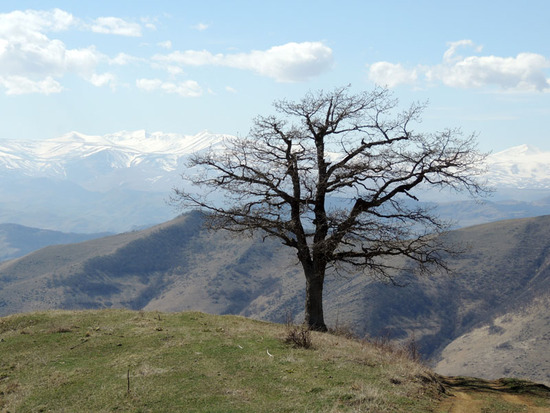 Очень красивое фото... Очень красивое фото...