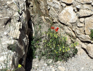Раскопки  города-крепости Каркар. Кладка башни северной крепостной стены эпохи Сасанидов. Нагорный Карабах, 15 июня 2013 г. Фото Алвард Григорян для "Кавказского узла"