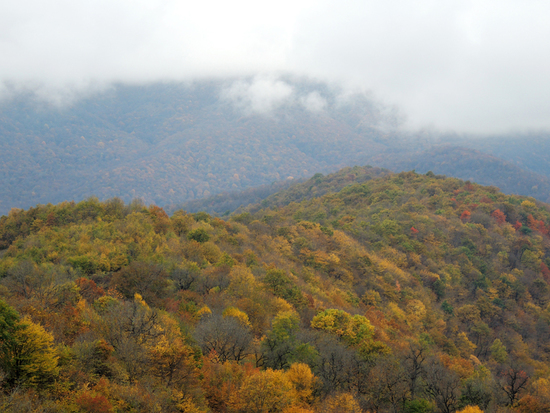 Леса вокруг Аветараноца. Леса вокруг Аветараноца.