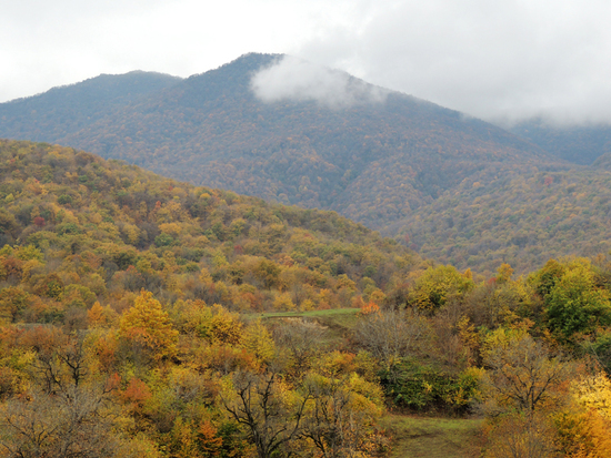 Леса вокруг Аветараноца. Леса вокруг Аветараноца.