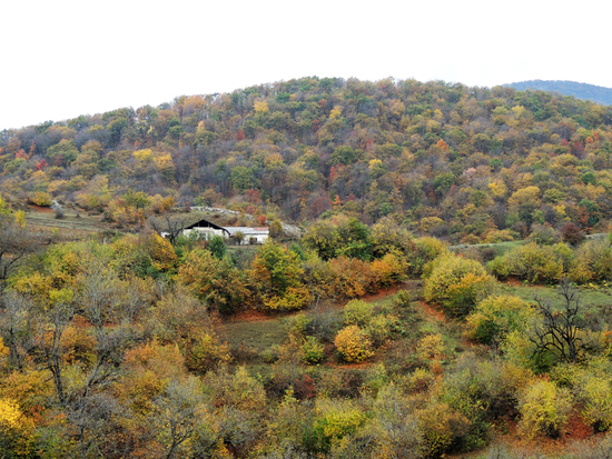 Леса вокруг Аветараноца. Леса вокруг Аветараноца.