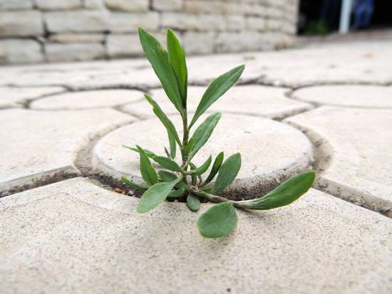 Вот это фото, которое заняло 1 место ( Вот это фото, которое заняло 1 место (