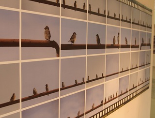 Фотоработы участницы выставки-проекта "36" Альбины Абдулаевой на тему "Сплетни". Каспийск, 10 ноября 2013 года. Фото Алиды Алиевой для "Кавказского узла" Фотоработы участницы выставки-проекта "36" Альбины Абдулаевой на тему "Сплетни". Каспийск, 10 ноября 2013 года. Фото Алиды Алиевой для "Кавказского узла"