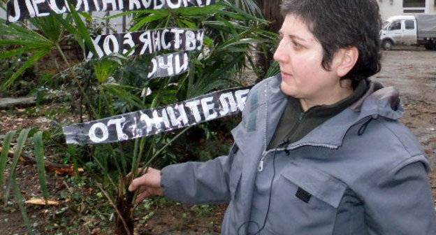 Сочи, 11 января 2012 г. Одиночный пикет в день охраны природы на месте вырубки деревьев на ул. Красноармейская, 30. Активистка экологической вахты по Северному Кавказу Ольга Носковец держит траурный венок из уничтоженной пальмы. Фото Светланы Кравченко для "Кавказского узла"