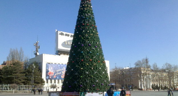 Новогодняя елка в Махачкале. Дагестан, 30 декабря 2011 г. Фото Ахмеднаби Ахмеднабиева для "Кавказского узла"