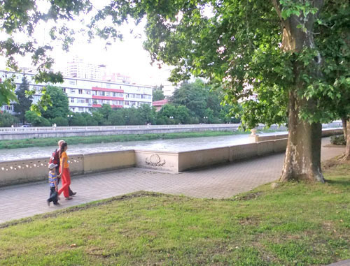 Компенсационные посадки лавровишни, посаженные в парке на улице Конституции на протяжении почти полкилометра, были удалены. Сочи, 2 мая 2012 г. Фото Светланы Кравченко для "Кавказского узла"