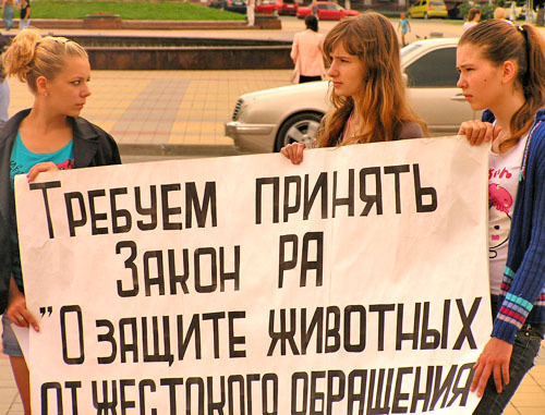 Пикет в защиту бездомных животных и станции юннатов прошел в Майкопе. Адыгея, 5 июня. Фото Олега Чалого для "Кавказского узла" Пикет в защиту бездомных животных и станции юннатов прошел в Майкопе. Адыгея, 5 июня. Фото Олега Чалого для "Кавказского узла"