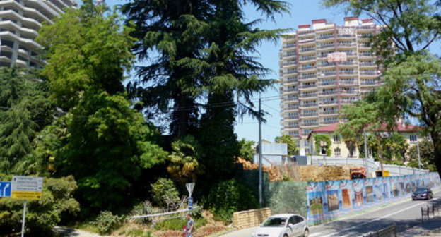 Строительство коммерческого жилого комплекса "Горка" на Курортном проспекте в парковой зоне. Сочи, сентябрь 2012 г. Фото Светланы Кравченко для "Кавказского узла" Строительство коммерческого жилого комплекса "Горка" на Курортном проспекте в парковой зоне. Сочи, сентябрь 2012 г. Фото Светланы Кравченко для "Кавказского узла"