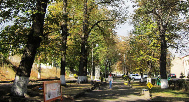 По решению Совета старейшин Степанакерта, одна из центральных аллей города впредь будет называться парком Поэзии. Нагорный Карабах, 20 октября 2012 г. Фото Алвард Григорян для "Кавказского узла"