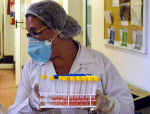 Пробы на "свиной грипп". Фото: http://www.flickr.com/photos/governo_de_minas_gerais Пробы на "свиной грипп". Фото: http://www.flickr.com/photos/governo_de_minas_gerais