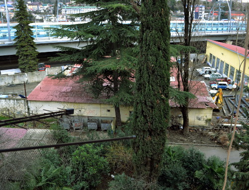 Придомовая территория улицы Новоселов,где ведутся строительные работы, вырубаются и уничтожаются зеленые насаждения. Сочи, 27 января 2014 г. Фото Светланы Кравченко для "Кавказского узла"
организацией ООО «Строй –проект»
