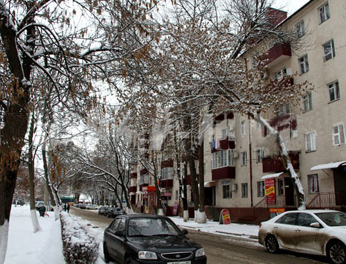 Снег в Грозном. Январь 2014 г. Фото Фаизы Халимовой http://www.grozny-inform.ru/ Снег в Грозном. Январь 2014 г. Фото Фаизы Халимовой http://www.grozny-inform.ru/