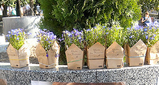 Цветы на акции памяти Натальи Эстемировой, Москва, 15 июля 2014. Фото Карины Гаджиевой для "Кавказского узла" Цветы на акции памяти Натальи Эстемировой, Москва, 15 июля 2014. Фото Карины Гаджиевой для "Кавказского узла"