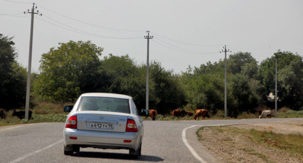 Шенталинский район Чечни. Фото Магомеда Магомедова для "Кавказского узла"