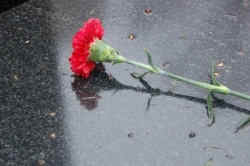 Цветок на дороге. Фото: сайт ГУ МВД по Ростовской области. http://61.mvd.ru/