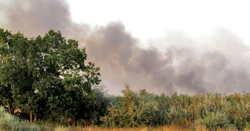 Пожар в Волго-Ахтубинской пойме Ахтубинского района Астраханской области. Горит сухая трава и тростник. Фото Вячеслава Ященко для "Кавказского узла"