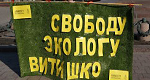 Плакат "Свободу экологу Витишко", Одиночный пикет, Москва, февраль 2014 http://freevitishko.org/ru/?page_id=40
