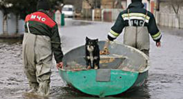 Спасательные работы в половодье. Фото из архива МЧС. http://www.61.mchs.gov.ru/operationalpage/emergency/detail.php?ID=27839