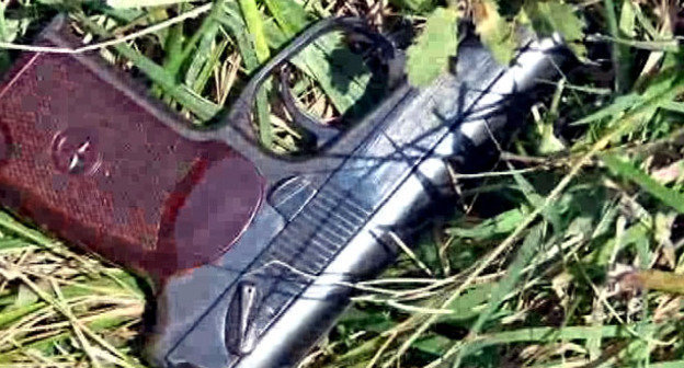 Пистолет. Фото http://nac.gov.ru/