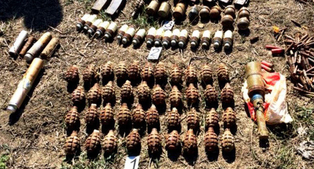 Гранаты. Фото http://nac.gov.ru/