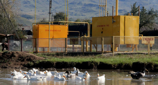 «Безопасное соседство». Фото Фоменко Натальи Владимировны, http://www.kawkazrg.ru/press-slujba/foto-i-videogalereya/fotoarkhiv-2014/1185-fotoraboty-pobeditelej-i-uchastnikov-korporativnogo-konkursa-eko-obektiv