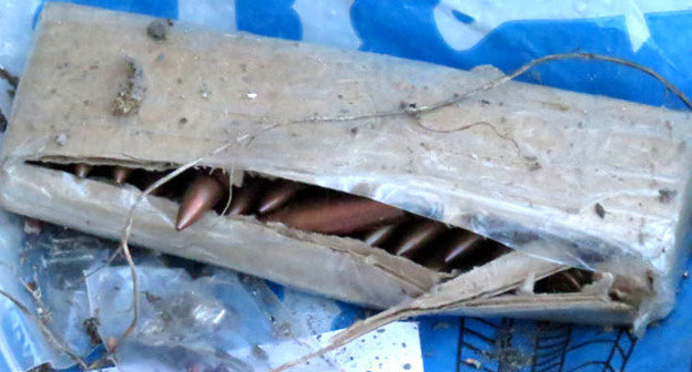 Патроны. Фото http://nac.gov.ru/