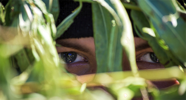 На военных учениях ВС России. Фото Юрия Дмитриева, Виталия Невара, Владимира Дашевского. http://structure.mil.ru/structure/forces/airborne/more/photo/gallery.htm?id=16945@cmsPhotoGallery
