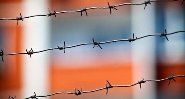 Колючая проволока. Фото: Юрий Гречко / Югополис