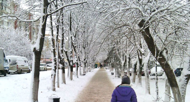 Снегопад в Краснодаре. Фото Натальи Дорохиной для "Кавказского узла"