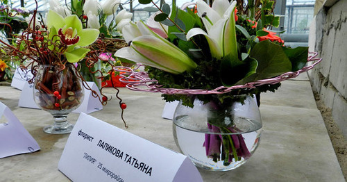Экспозиция, представленная в теплице. Волгоград, 6 февраля 2015 г. Фото Татьяны Филимоновой для "Кавказского узла"