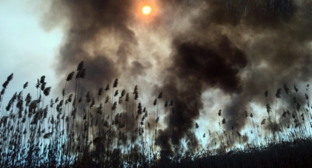 Пожары на Трёхизбинском участке
в Астраханском заповеднике. Фото: http://astrakhanzapoved.ru/wp-content/uploads/2015/02/IMG_2811-800x490.jpg