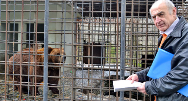 Владелец ресторана ООО "Гурия" рядом с клеткой с медведями. Сочи, 2 марта 2015 г. Фото Светланы Кравченко для "Кавказского узла"