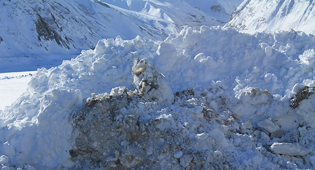 Снежный сугроб на горной дороге. Фото Ахмеда Альдебирова для "Кавказского узла"