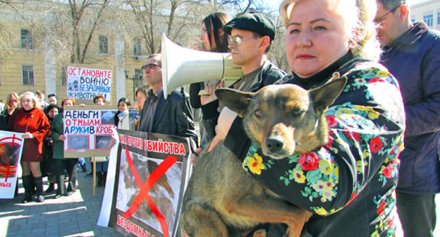 Митинг защитников бездомных животных прошел в Астрахани. 15 марта 2015 г. Фото Вячеслава Ященко для "Кавказского узла"