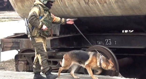 Сотрудник силовых структур. Фото http://nac.gov.ru/