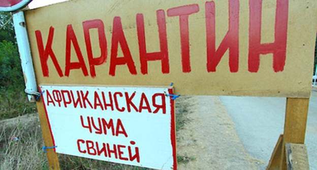 Самодельная табличка "Карантин". Фото: http://bloknot-volgograd.ru/thumb/640x0xcut/upload/iblock/d1d/y302025520032_a.jpg