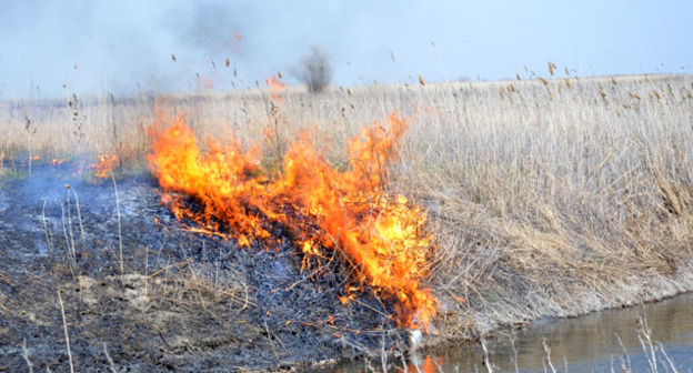 Пожар в Астраханской области. Фото: "Новости Astrobl" http://www.astrobl.ru/news/76824