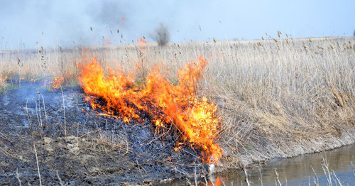 Пожар в Астраханской области. Фото: "Новости Astrobl" http://www.astrobl.ru/news/76824