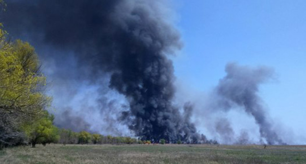 Поажр в Астраханском заповеднике. Фото: http://astrakhanzapoved.ru/wp-content/uploads/2015/04/%D0%BE%D0%B1%D0%B6%D0%BE%D1%80%D0%BE%D0%B2%D0%BE27.04.2015.jpg