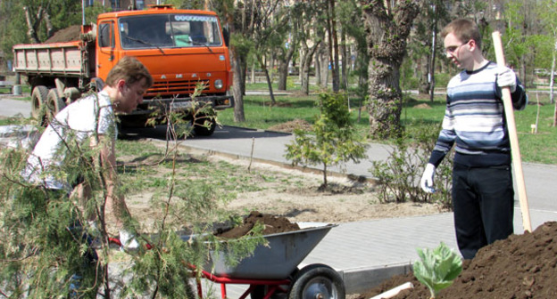 Волонтеры благоустроили сквер Дома ветеранов в Волгограде. 27 апреля 2015 г. Фото Вячеслава Ященко для "Кавказского узла"