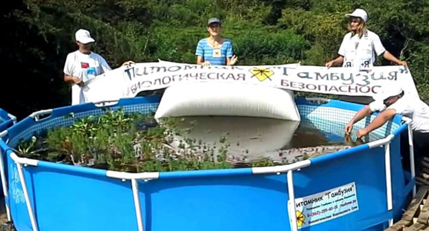 Сотрудники организации "Питомник Гамбузия" возле пруда, где разводят мальков. Кадр из видео пользователя Ирины Лавринович http://www.youtube.com/watch?v=eod8k2OQ41w