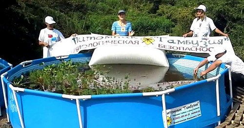 Сотрудники организации "Питомник Гамбузия" возле пруда, где разводят мальков. Кадр из видео пользователя Ирины Лавринович http://www.youtube.com/watch?v=eod8k2OQ41w