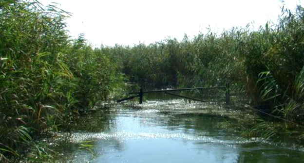 Лиман. Краснодарский край. Фото Экологическая вахта по Северному Кавказу http://www.ewnc.org/